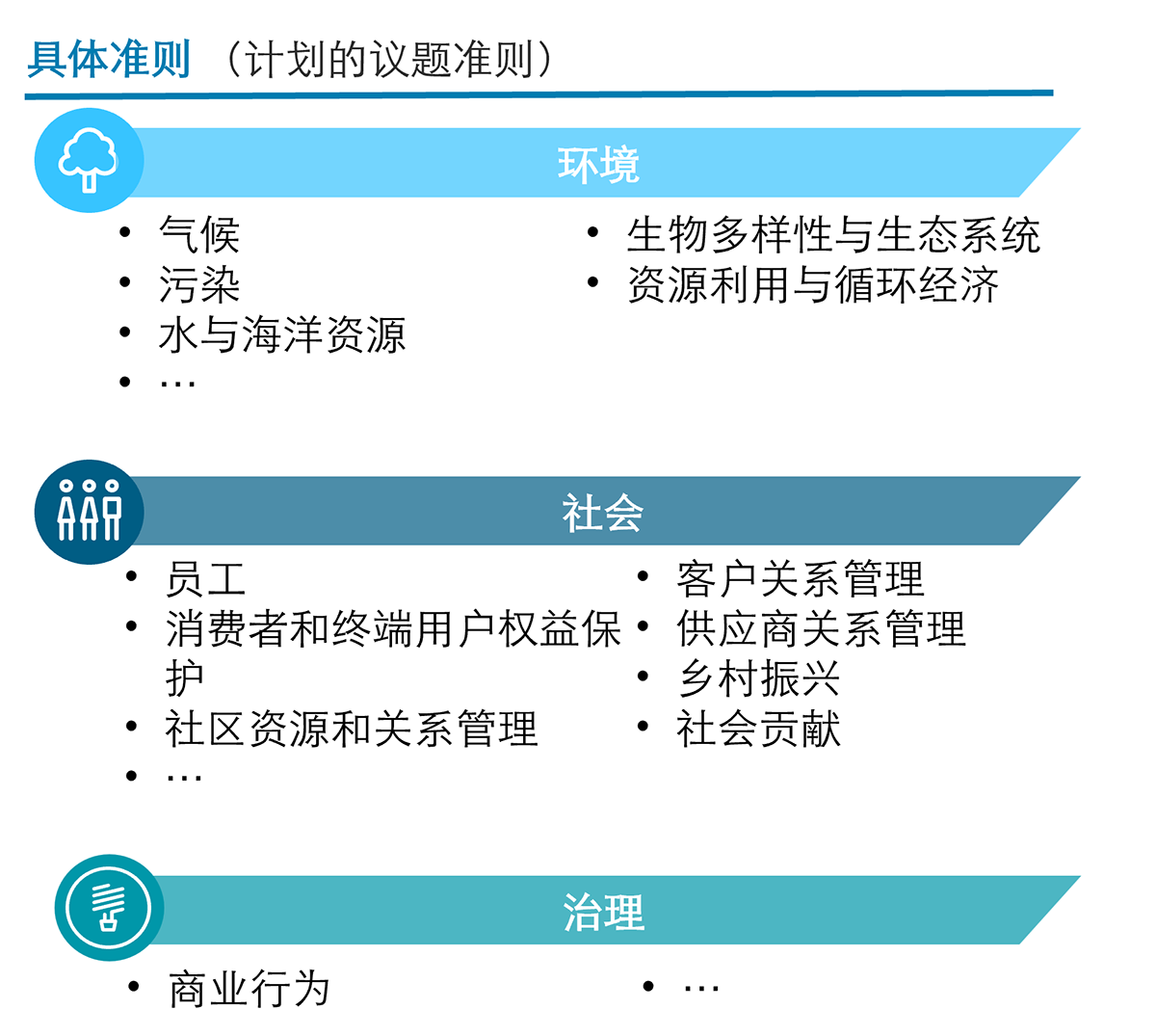 具体准则计划包括的议题