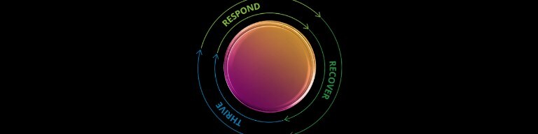 Deloitte S Reboot Offering For Business Recovery