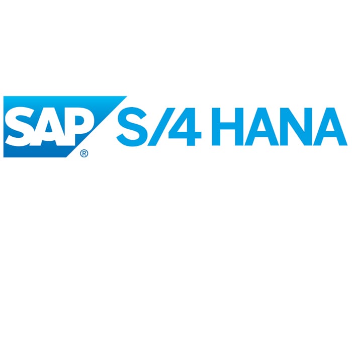 SAP S/4HANA | Deloitte | Technology services