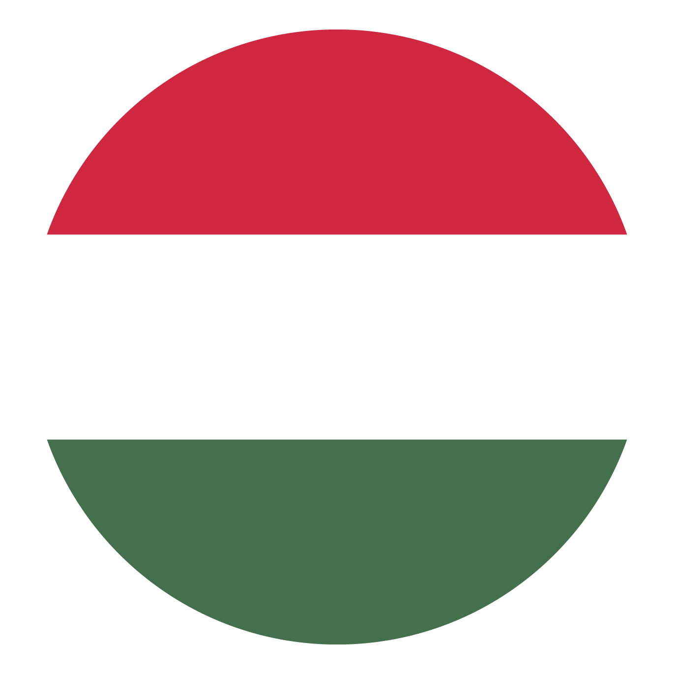 in Ungarisch