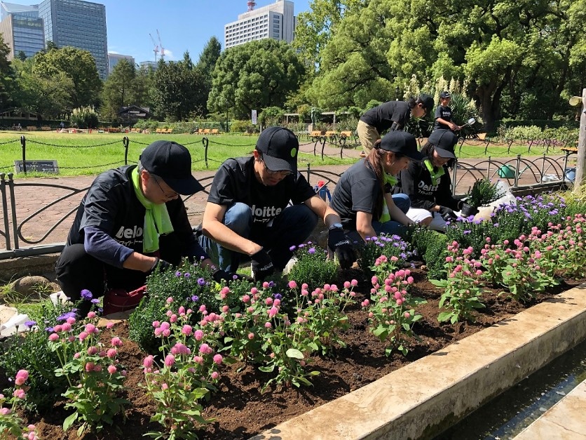 日比谷公園の花壇の植え替え 第41回 Csr Blog Deloitte Japan