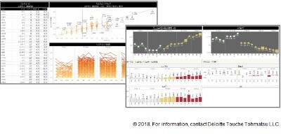 Risk Analytics On Cloud導入事例 アネスト岩田株式会社様 Deloitte Analytics デロイト トーマツ グループ Deloitte