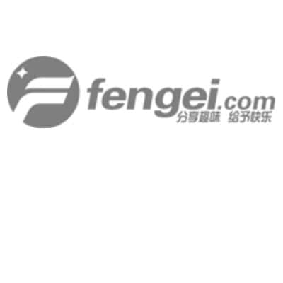 Fengei Network - 3rd place Technology Fast 500 APAC