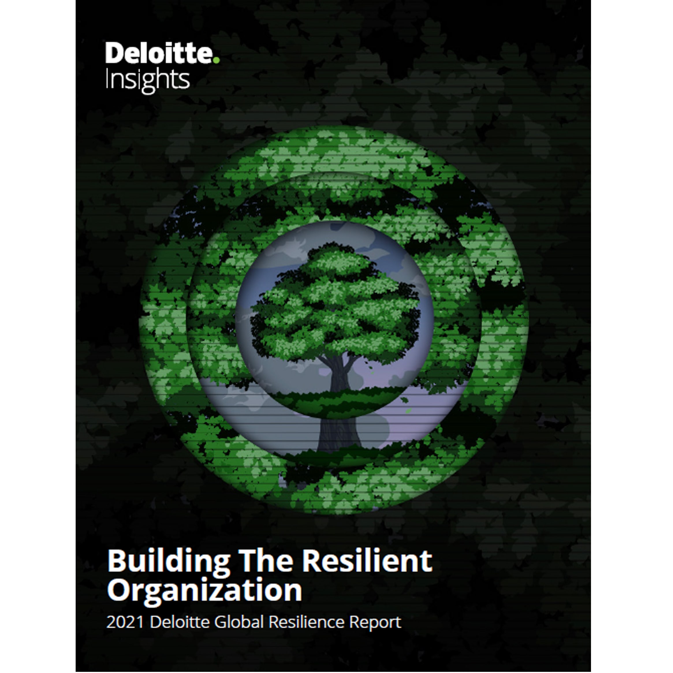 Informe de Resiliencia 2021