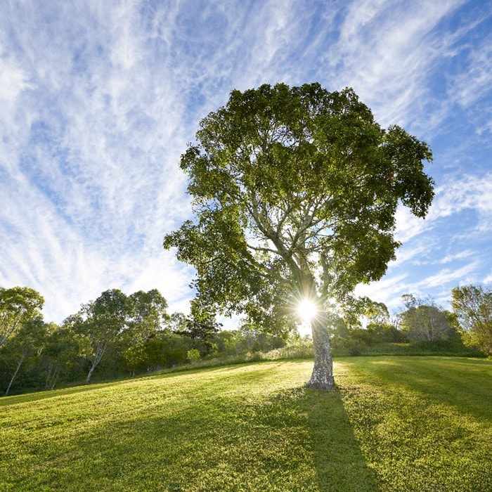 Thailand’s boardrooms are bringing sustainability to the top | Deloitte ...