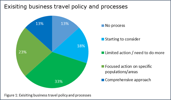 travel and expenses policy deloitte