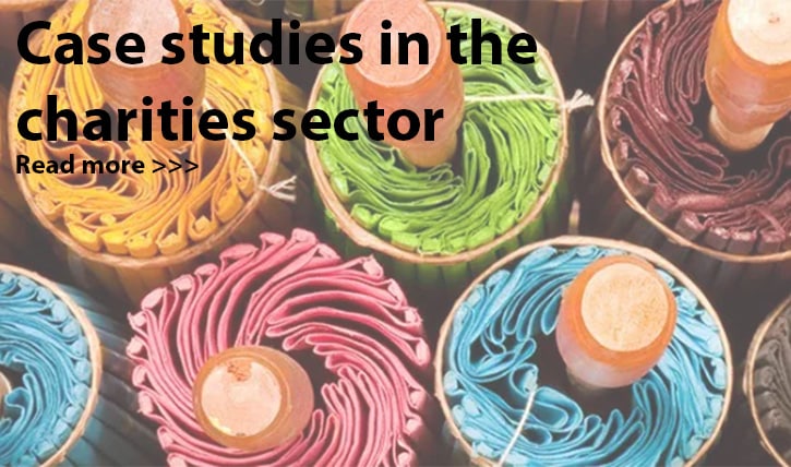 Case studies in the charities sector