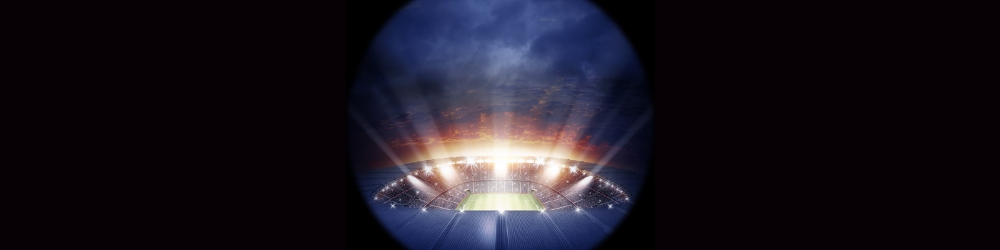 Stadium Experience And Fan Satisfaction Survey Deloitte Us
