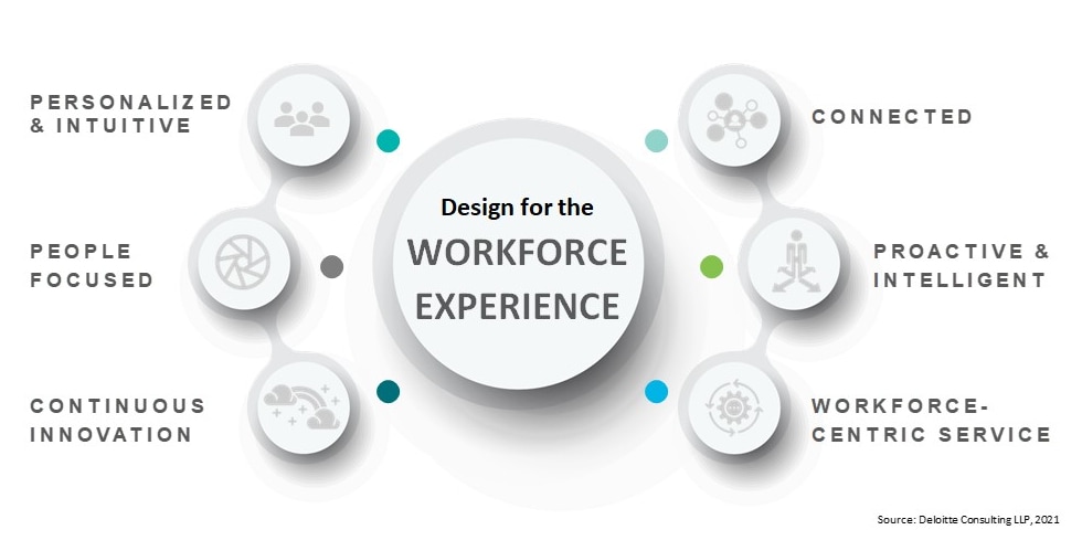 Workforce experience infographic