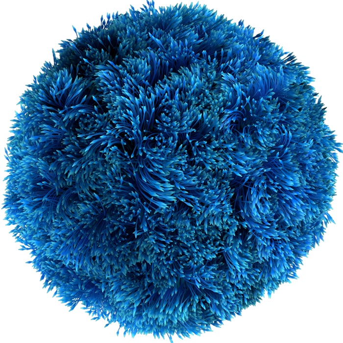 blue thread boll