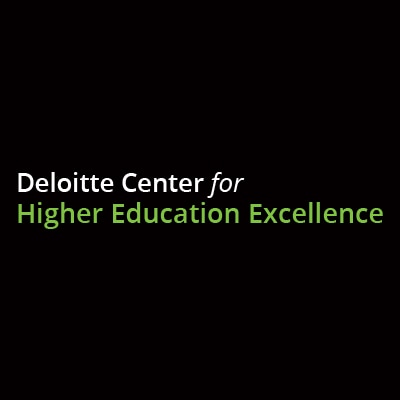 Center for Higher Education Excellence logo