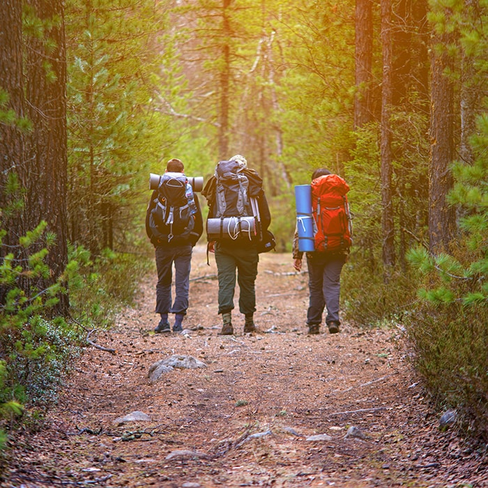 Group of friends walking with backpacks in sunset
