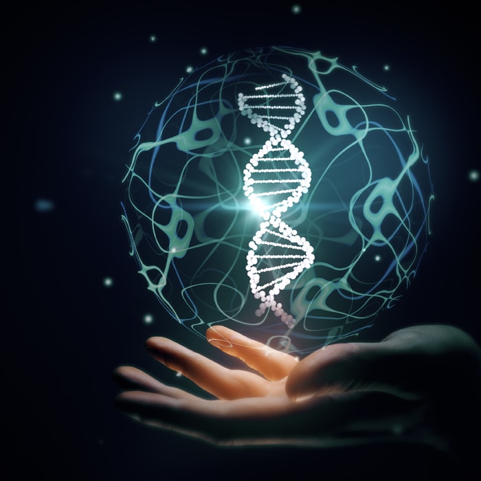 Traits of digital DNA