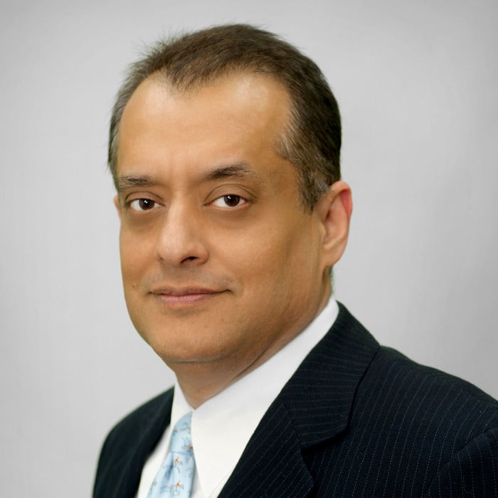 Ally Adnan Managing Director Cyber And Strategic Risk Deloitte Us