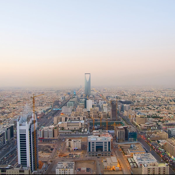 About Deloitte In Saudi Arabia, Landscape Companies In Saudi Arabia