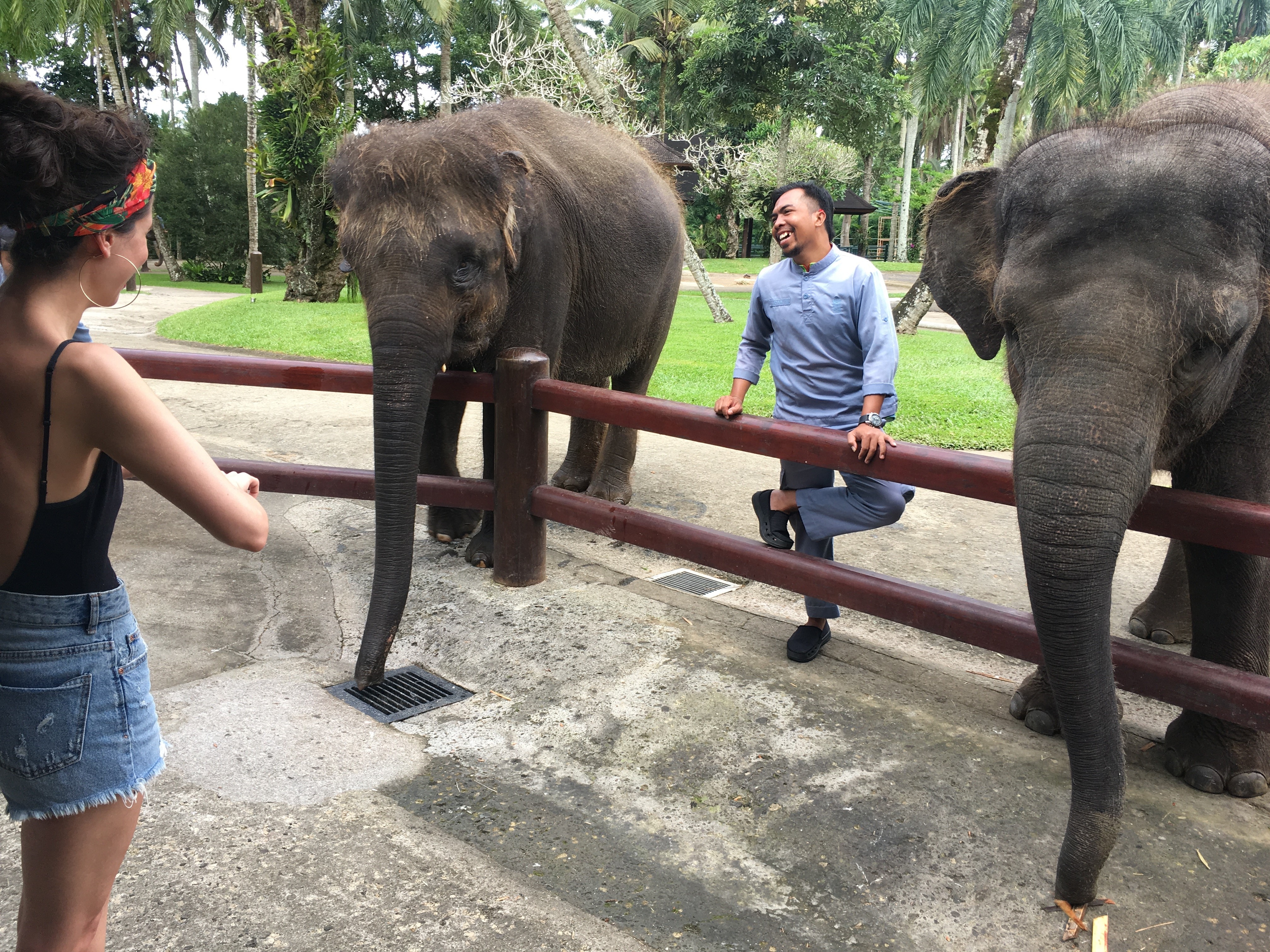 Nura dans un sanctuaire d'éléphants à Bali