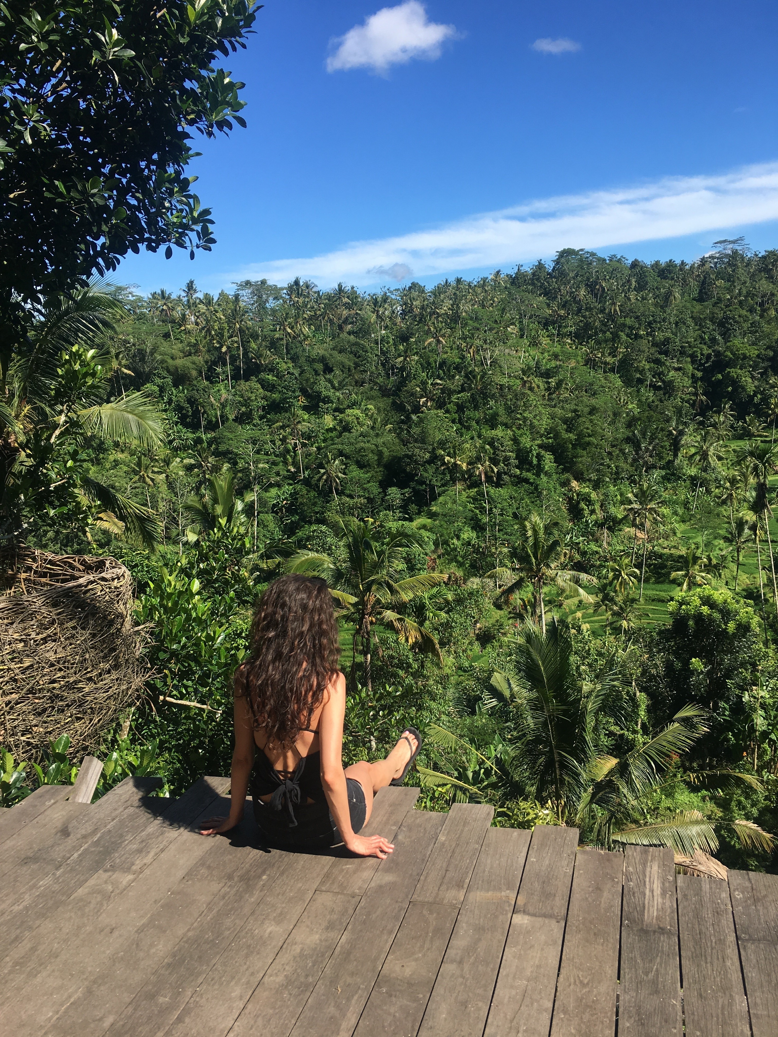 Vue du sommet des arbres de la forêt tropicale de Bali