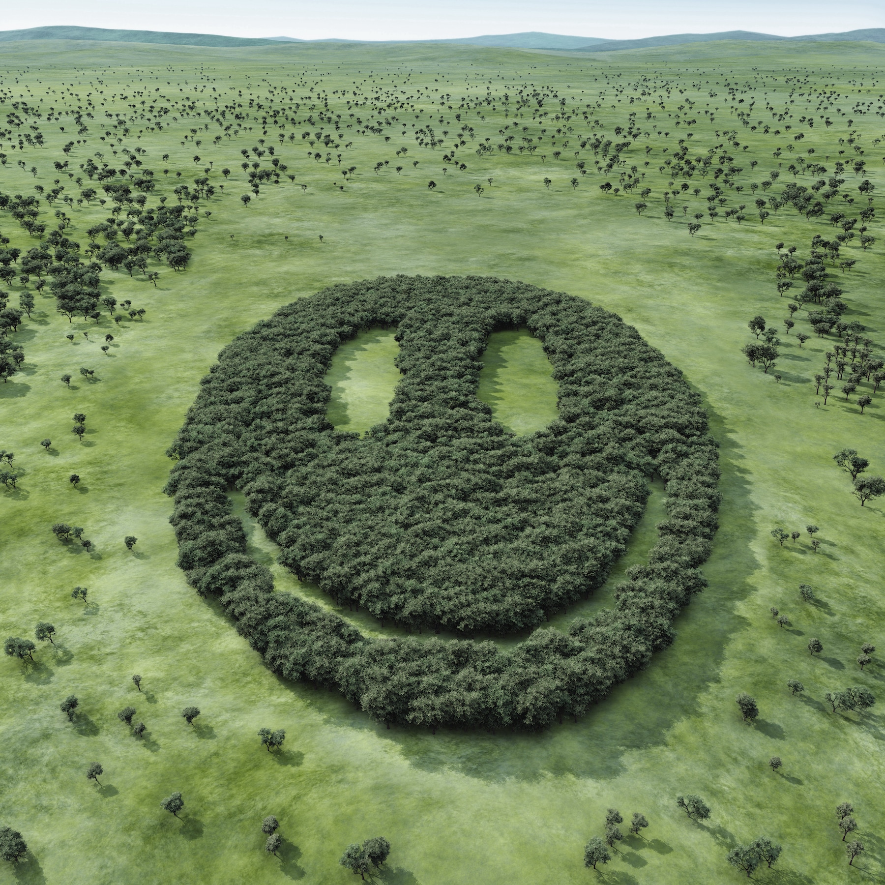 smiley face made of trees