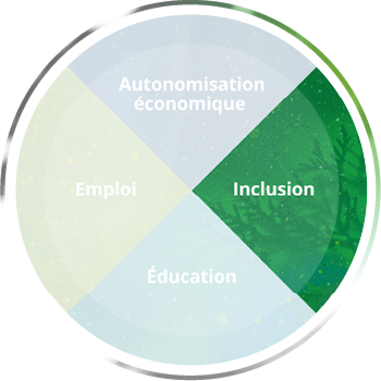 ca-wheel-inclusion-image