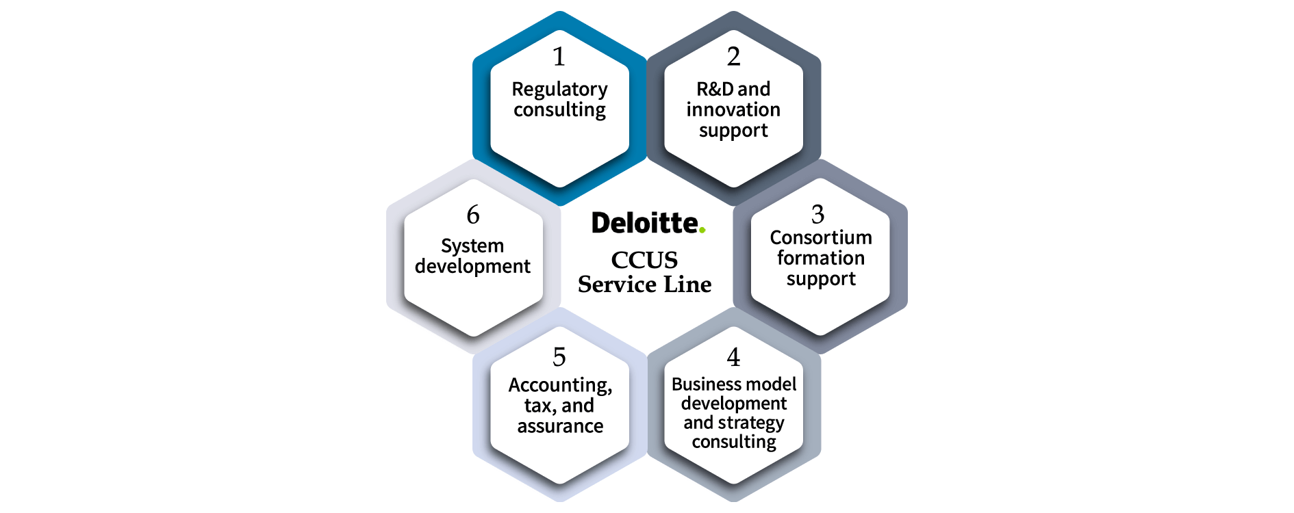 CCUS-related services that Deloitte provides