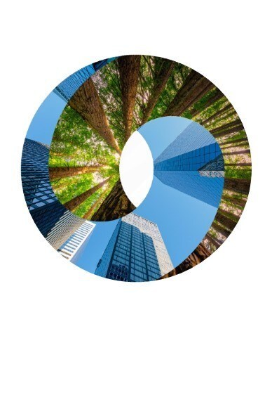 Deloitte nl sustainability financial climate transition plan