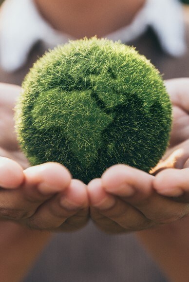 Deloitte nl sustainbility 5 things you need to know about SBT