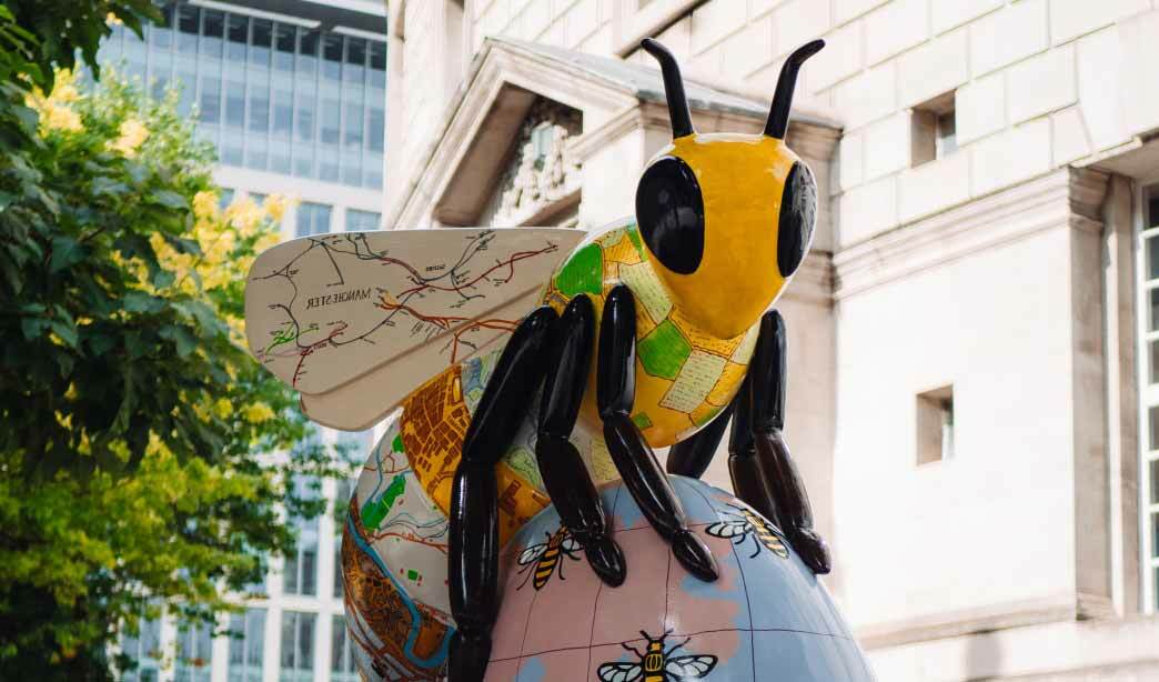 Bee in the city Manchester