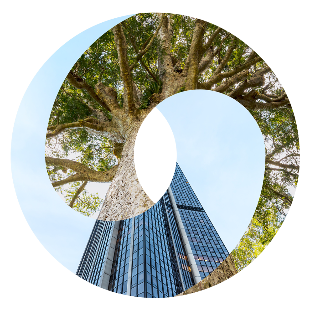 International Sustainability Standards Board | Deloitte UK