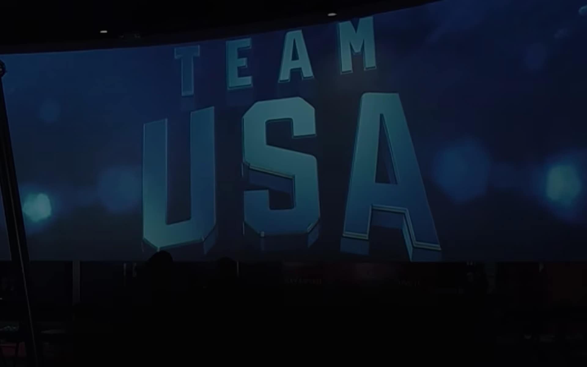 Team USA banner