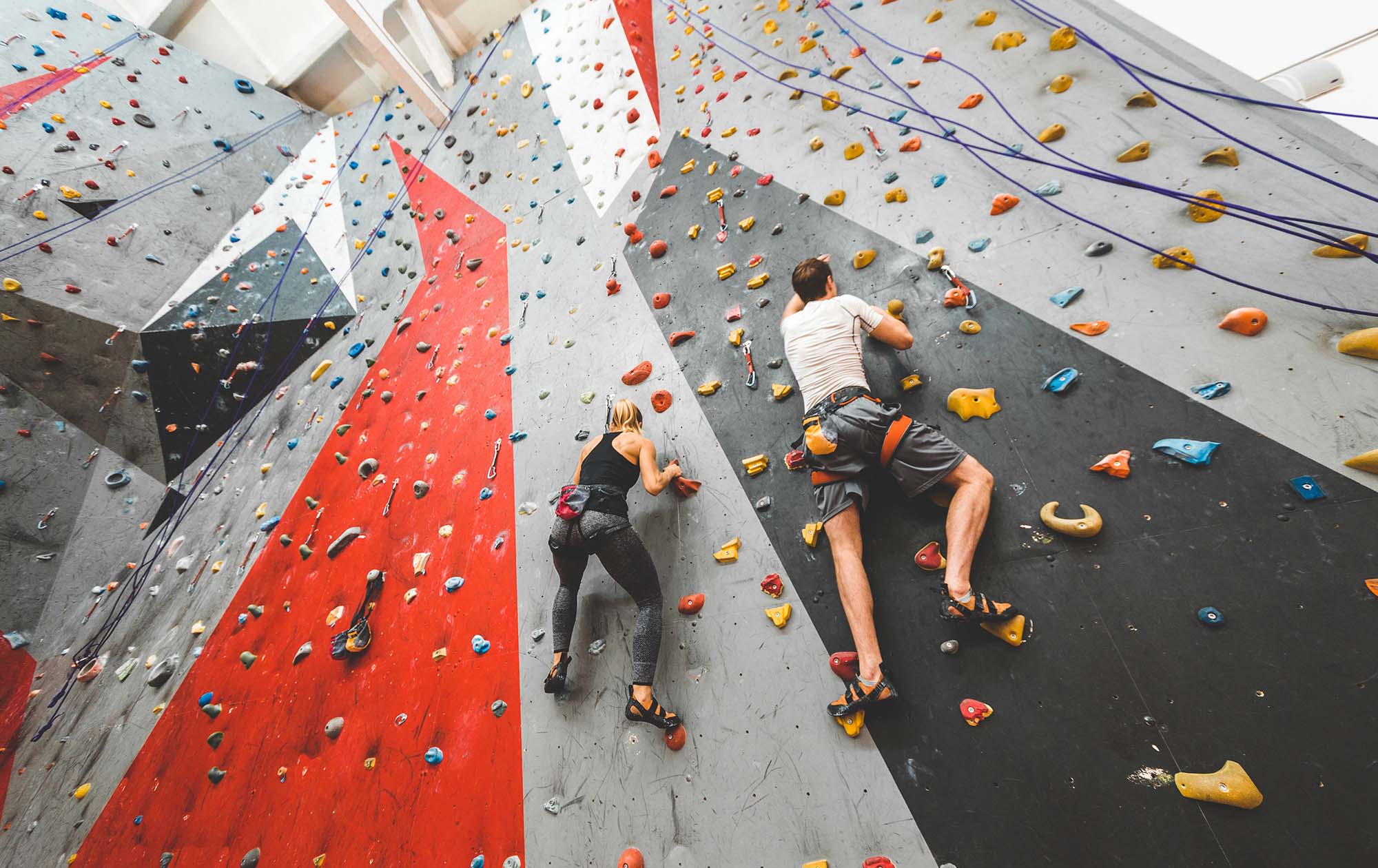 people wall climbing