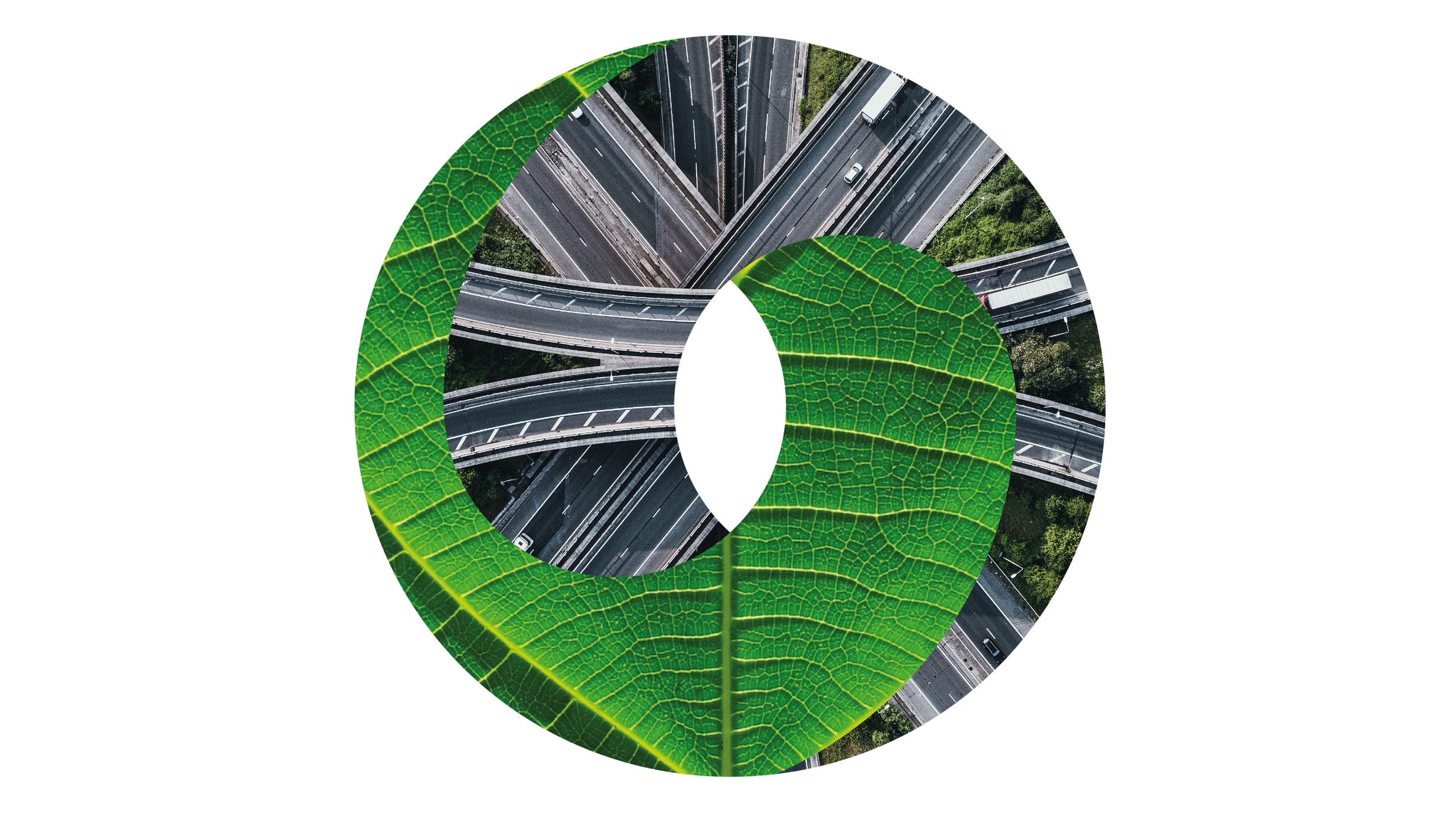 Sustainable value system abstract hero image of freeway interwoven with leaf veins