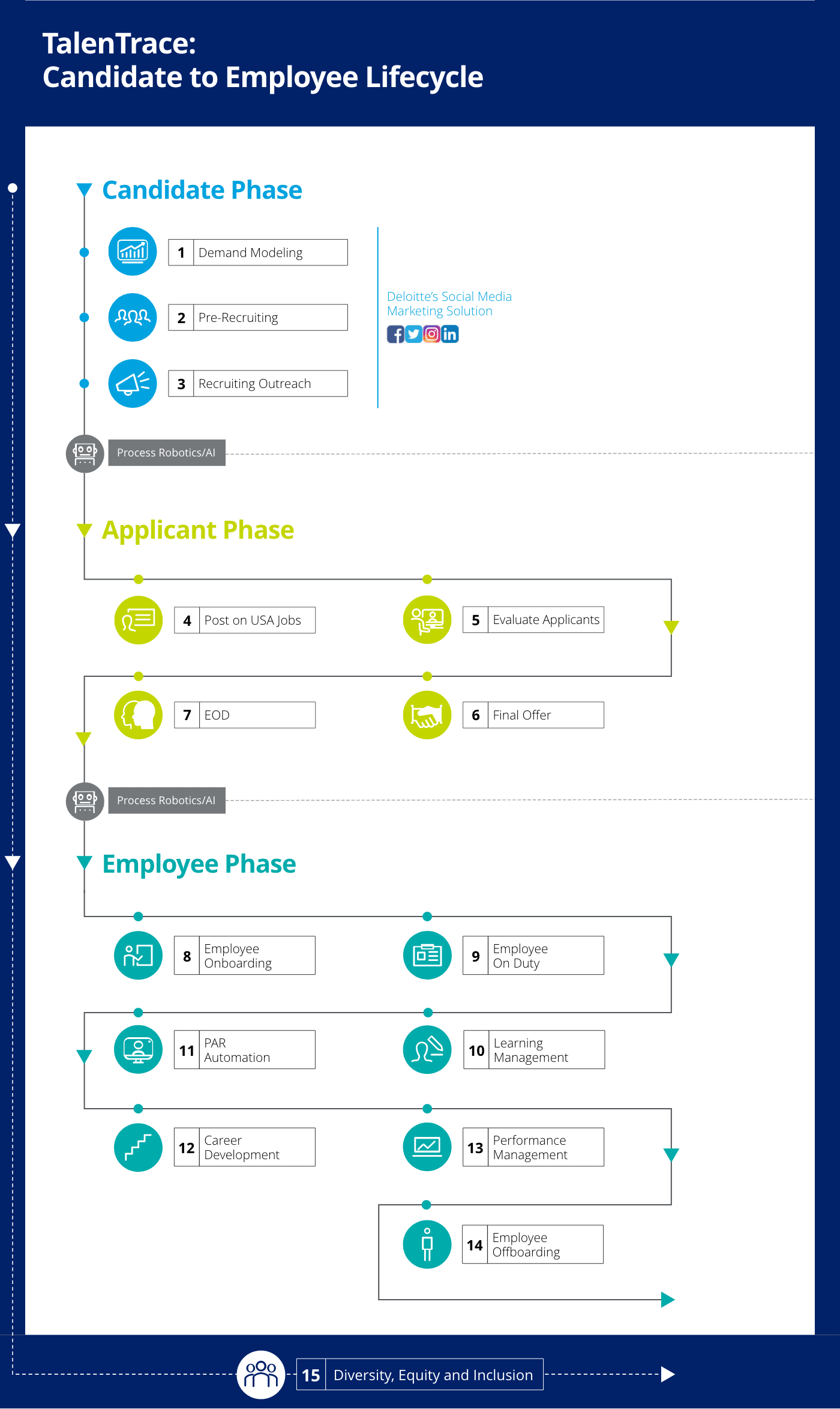 graphic showing organizational divisions