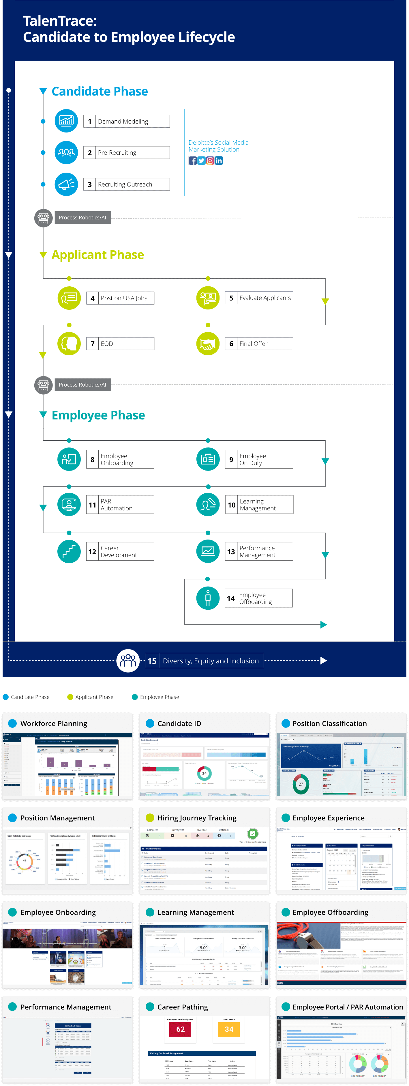 graphic showing organizational division