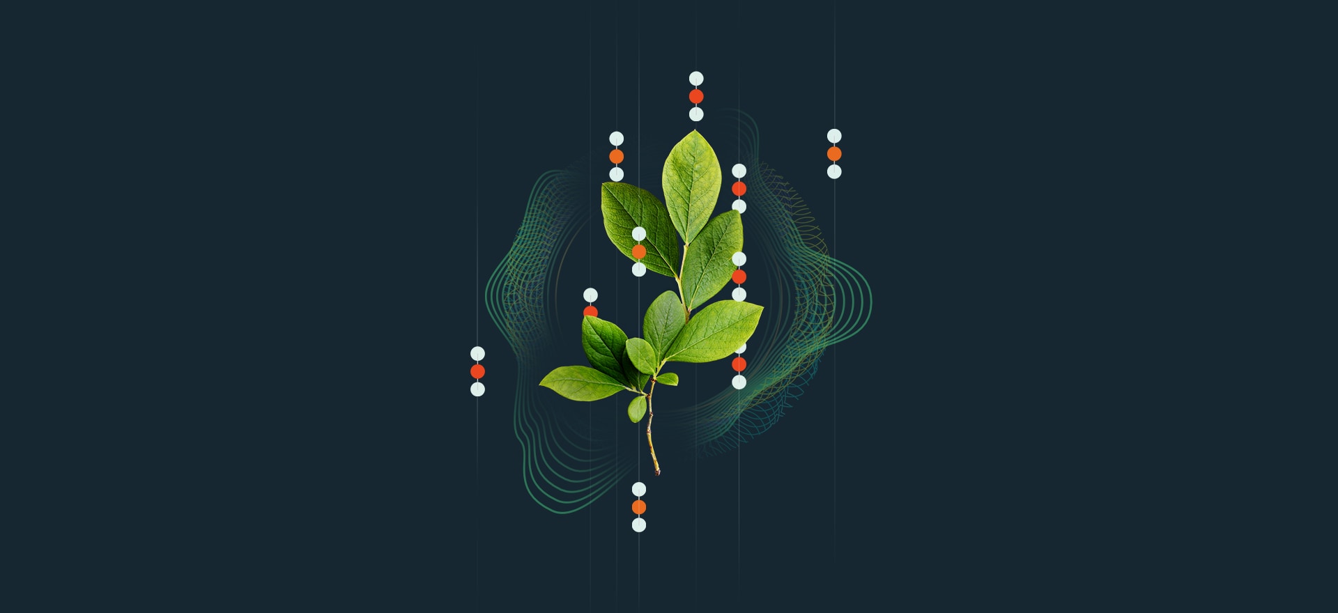 How carbon markets should evolve to meet net-zero ambitions