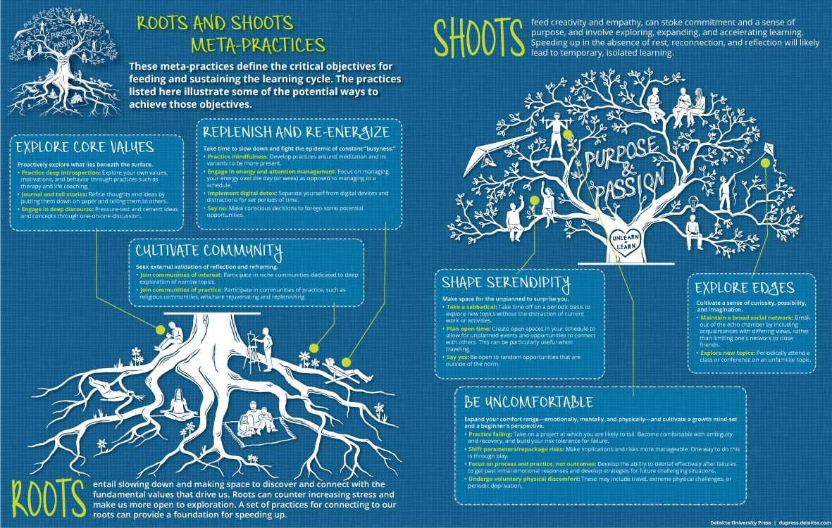 Roots and Shoots meta-practices