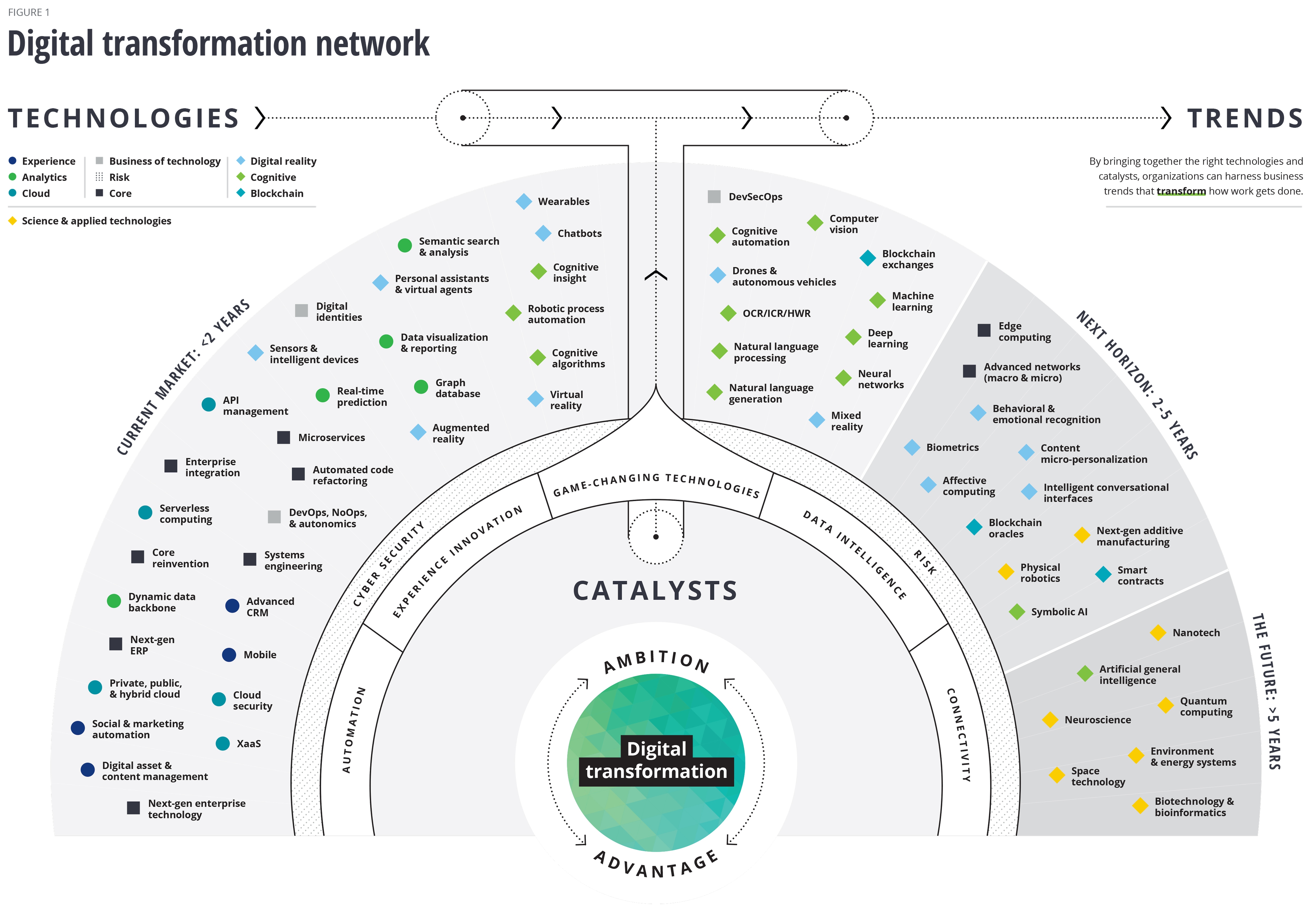 Digital transformation network