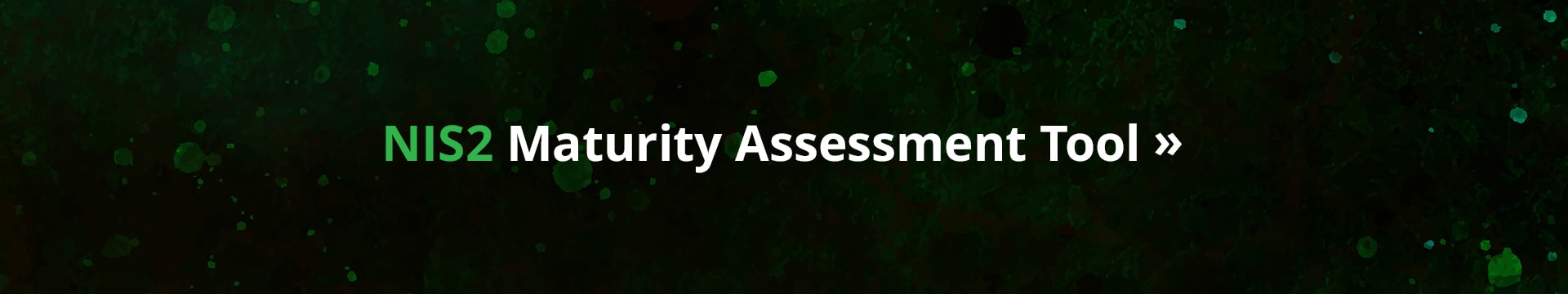 NIS2 Maturity Assessment Tool