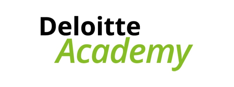 deloitte transfer pricing