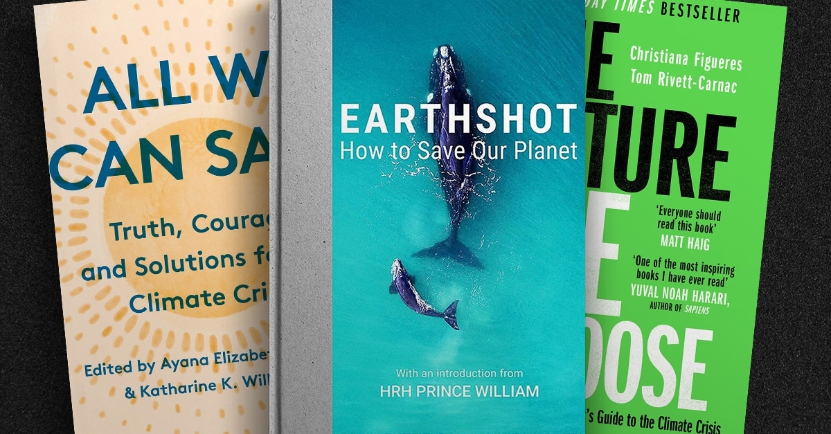 A diverse list of climate change books Deloitte UK