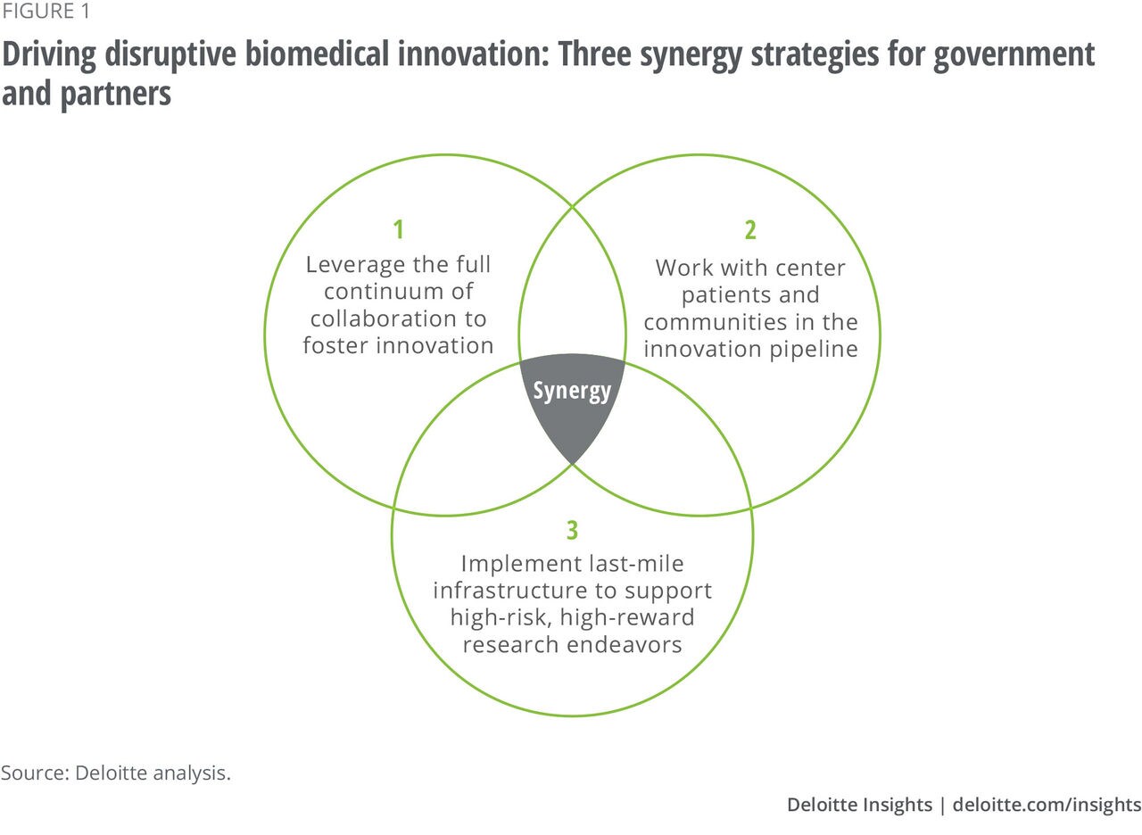 Figure 1: Three synergy strategies for government and partners to drive disruptive innovation